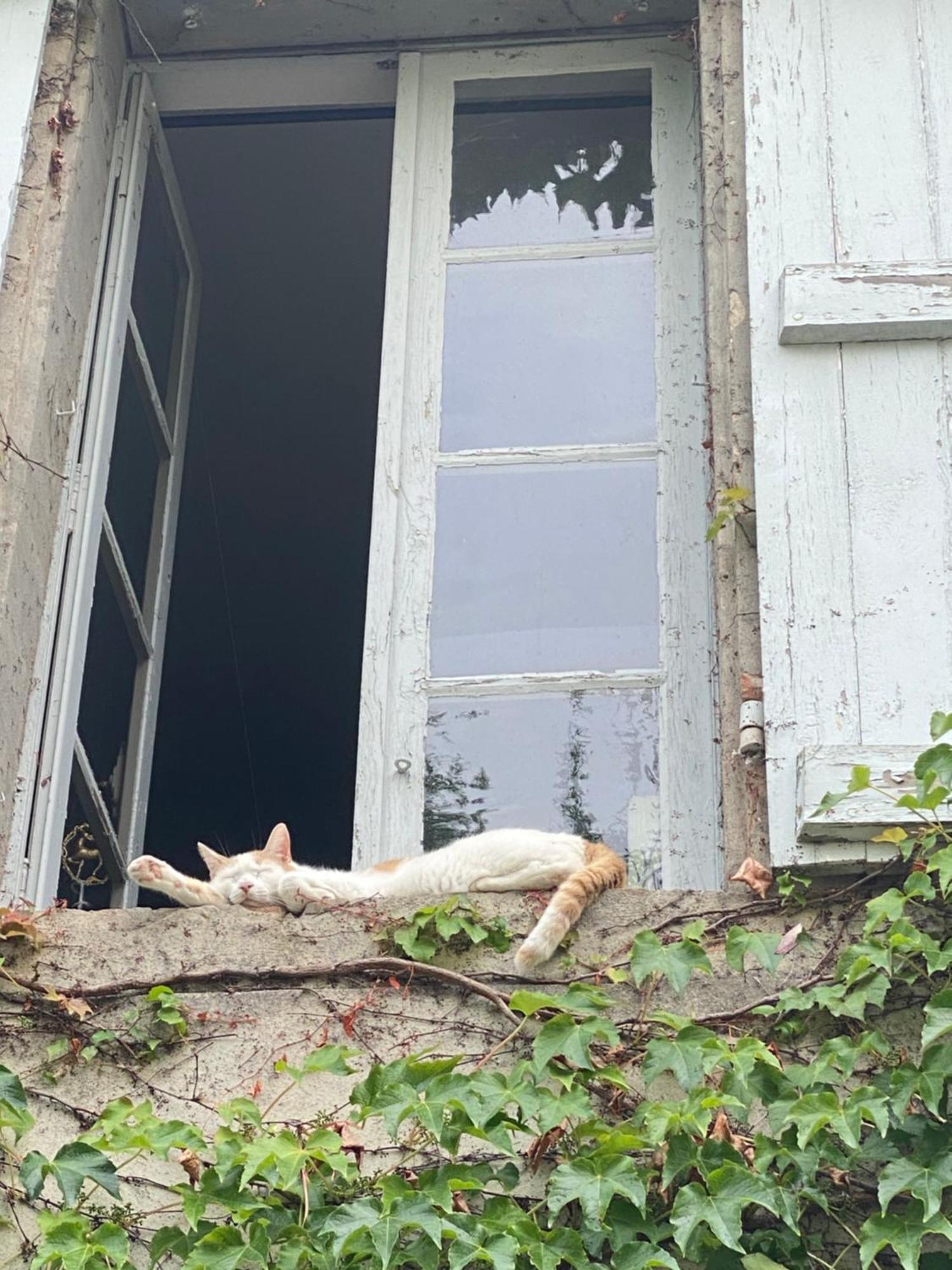 モアサック Au Jardin Y Bed & Breakfast エクステリア 写真
